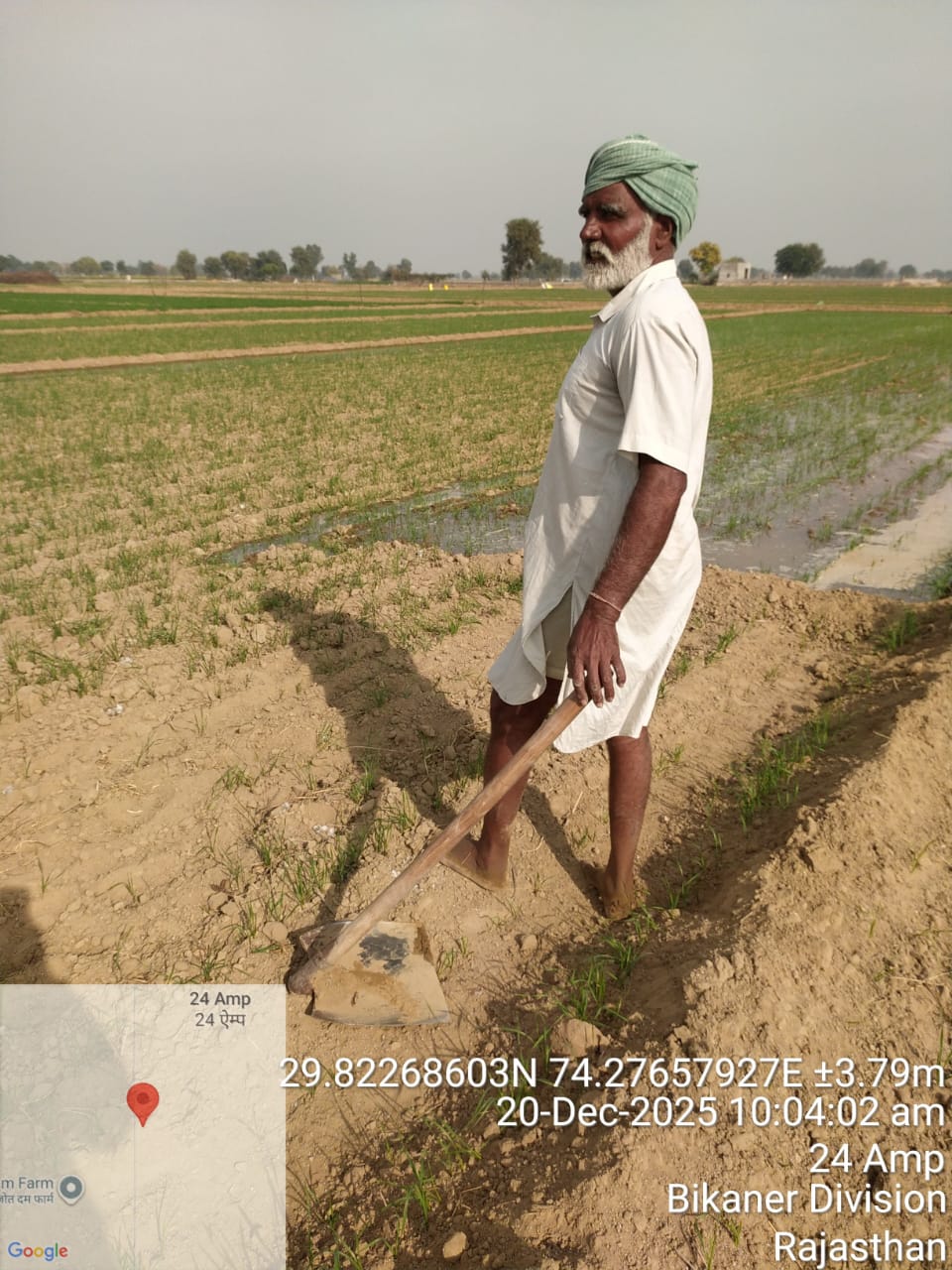 Farmer in irrigated field